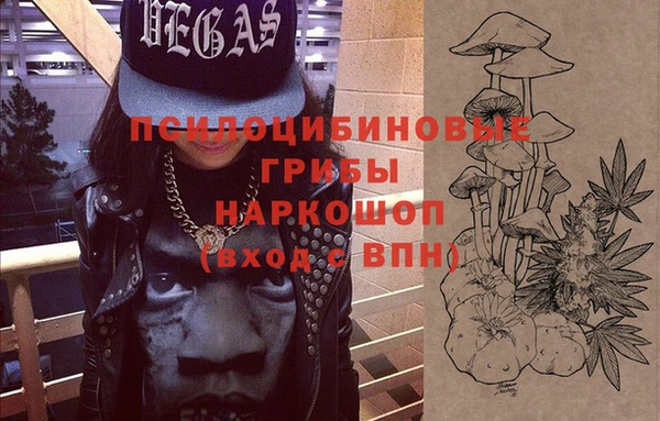 прущий лед Алексин