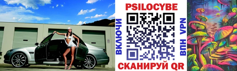 Галлюциногенные грибы Psilocybine cubensis  Баймак 
